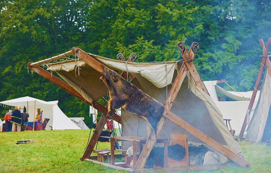Viking-Festival-at-Moesgaard-main