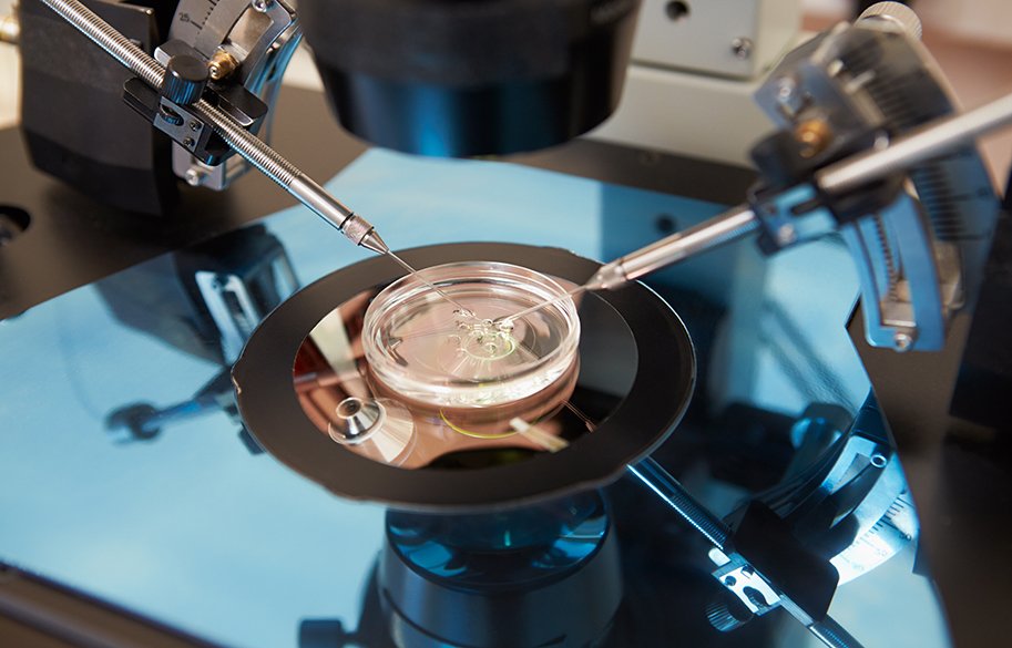 IVF-in-vitro-fertilization-main