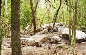 Minanbe-hidden-mayan-city-long