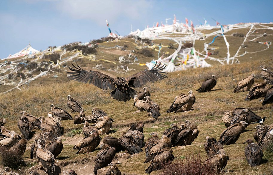 tibet-sky-burial-main copy